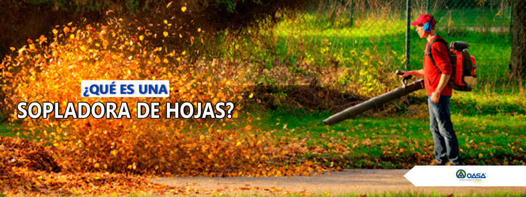 ¿Qué es un soplador de hojas?